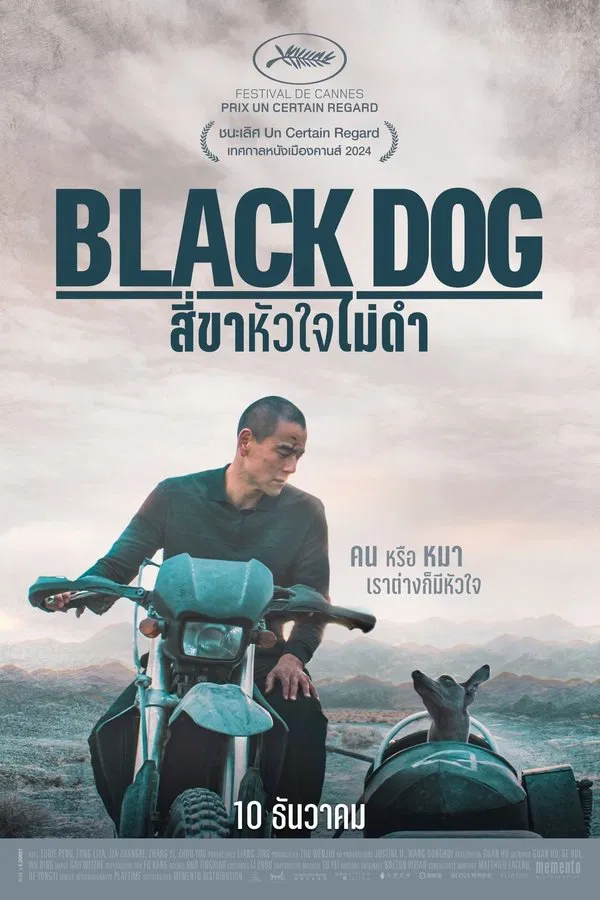 Black Dog (2024) สี่ขาหัวใจไม่ดำ ดูหนังออนไลน์ HD