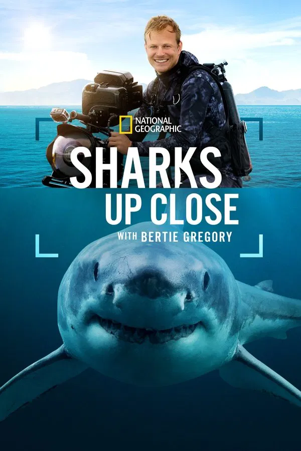 Sharks Up Close with Bertie Gregory (2025) ดูหนังออนไลน์ HD